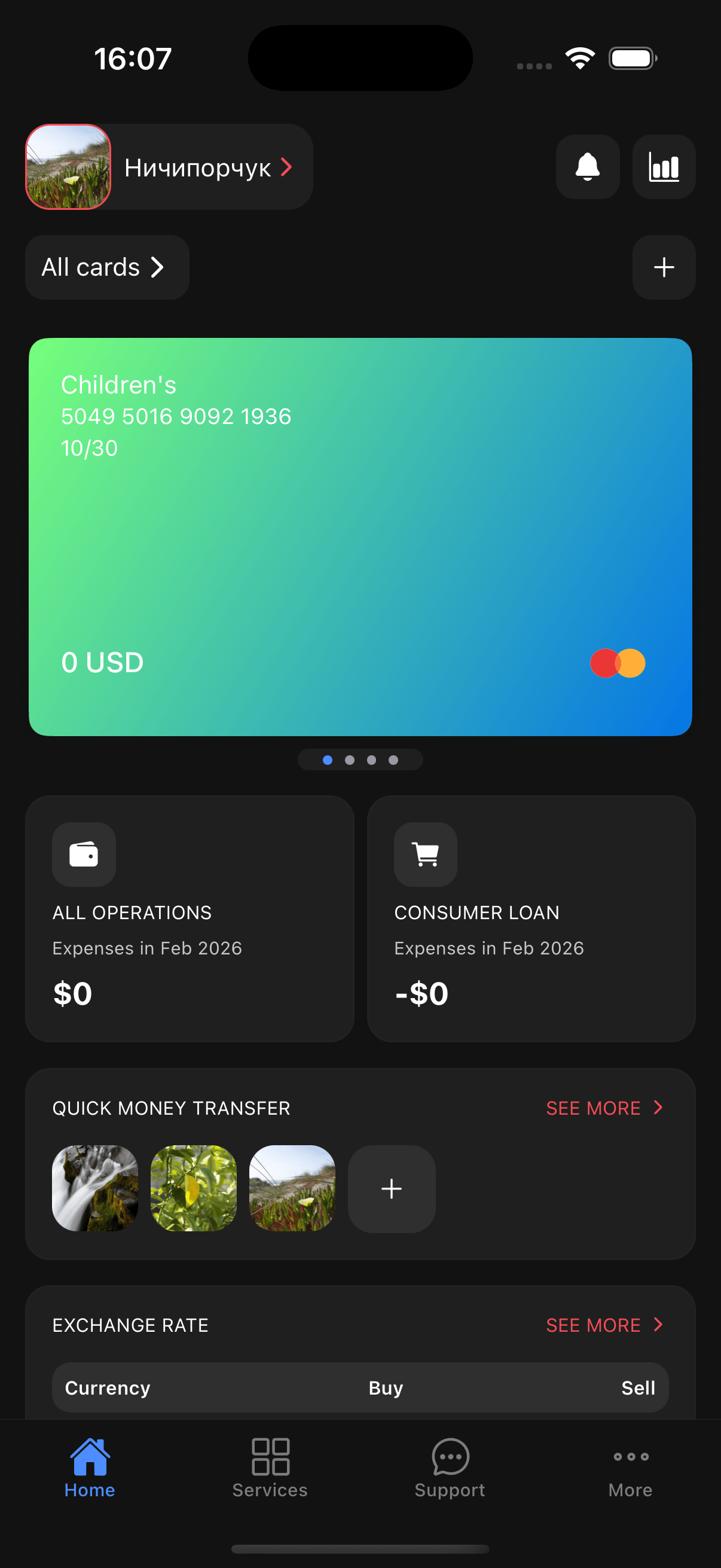 Main dashboard after login