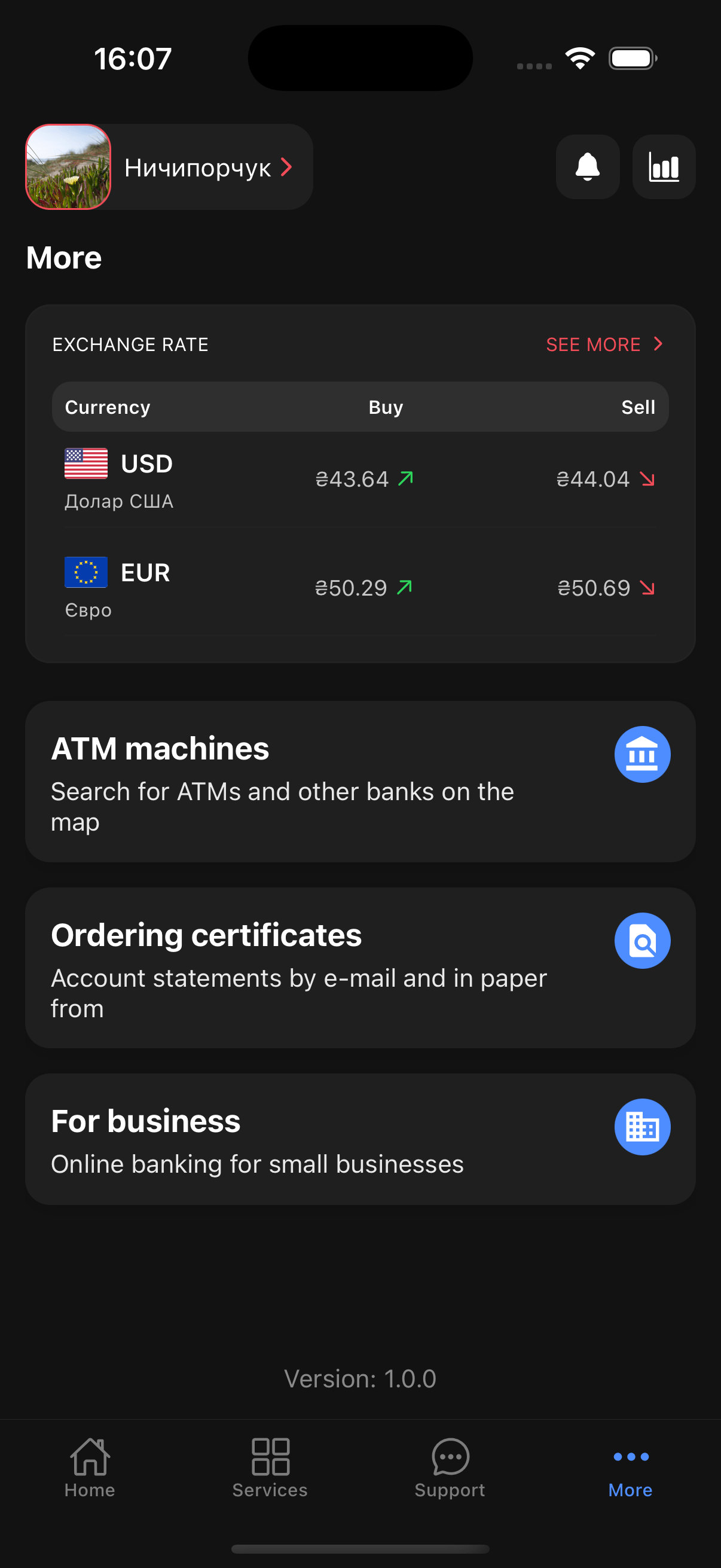 Additional features screen
